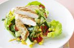 Canadian Chicken And Sweetcorn Salad Recipe Appetizer