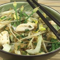 Chinese Chicken and Bean Sprout Stir-fry Appetizer