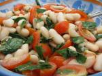 American Tomato Mint and Cannellini Bean Salad Dinner