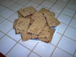 American Judys Chocolate Chip Poison Cookies Appetizer