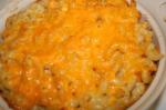 American Low Fat Macaroni and Cheese Bake Appetizer