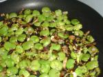 American Fava Beans With Leeks  Mushrooms Dinner