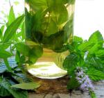 American Herbal Vinegar With Lemon Verbena  Mint Drink
