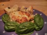 Italian Chicken Lasagna 23 Dinner