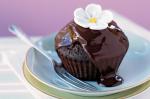 American Doublechocolate Cupcakes Recipe 2 Dessert