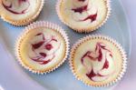 American Raspberry Swirl Cheesecakes Recipe Dessert