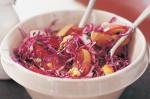 American Red Cabbage Apple and Cranberry Salad Recipe Appetizer
