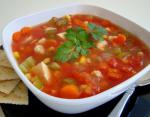 Chicken Vegetable Soup 13 recipe