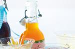 American Citrus Crush Syrup Recipe Appetizer