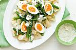 American Potato And Asparagus Salad With Dill Aioli Recipe Appetizer