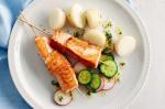 American Salmon Kebabs With Cucumber And Radish Dill Salad Recipe Appetizer
