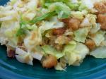 American Shredded Cabbage With Butter and Bread Appetizer