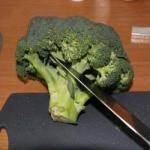 British Tasty Ordinary Broccoli Appetizer