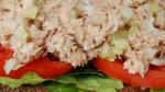 American Zesty Tuna Salad Recipe Appetizer