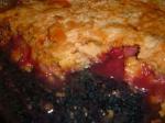 American Rhubarb Crisp easy Dessert