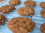 American Vanishing Oatmeal Raisin Cookies 4 Dessert