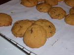 American Pumpkinpecan Chocolate Chip Cookies Dessert