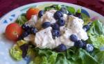 American Blueberry Chicken Salad 1 Appetizer