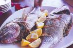 American Roast Snapper With Fried Onions Pine Nuts and Dates Recipe BBQ Grill