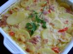 Ukrainian Not Your Ordinary Scalloped Potatoes With Ham Appetizer