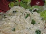 Italian Creamy Noodles 1 Appetizer
