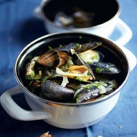 French Moules Marinieres 1 Dinner