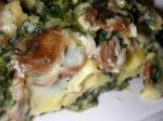 American Creamy Spinach Mushroom Lasagna Dinner