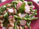 British Asparagus Bean and Feta Salad Drink