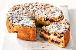 American Blueberry Crumble Cake Recipe 1 Dessert