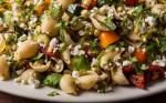 Italian Grilled Summer Vegetable Pasta Salad Recipe Appetizer