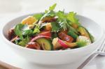 American Hoisin Lamb Salad Recipe Appetizer