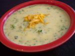 American Broccoli  Cheese Soup 1 Appetizer