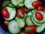 American Fresh Tomato And Cucumber Salad 1 Appetizer