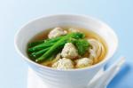Canadian Coriander Fish Ball Noodle Soup Recipe Appetizer