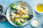 Canadian Colins Caesar Salad With Scotch Eggs Recipe Appetizer