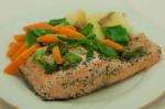 American Bbq Salmon Filet Appetizer