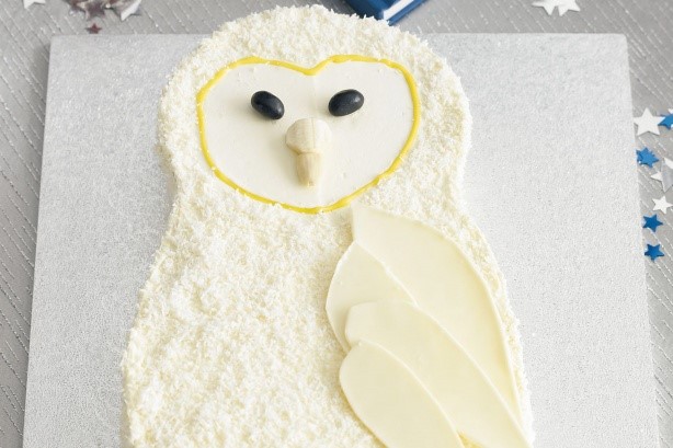 American Wise Owl Cake Recipe Dessert