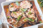 Italian Eggplant Parmigiana Recipe 16 Appetizer