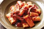 Italian Spicy Pork Ragu With Rigatoni Recipe Appetizer