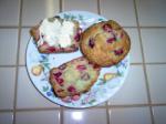 American Cranberry Sour Cream Muffins Dessert