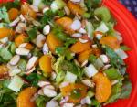American Mandarin Orange Almond Salad Appetizer