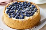 American Blueberry Cheesecake Recipe 8 Dessert