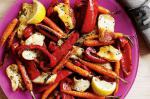 American Carrot With Red Capsicum And Haloumi Recipe Appetizer