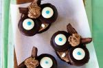American Rich Chocolate Cupcakes Recipe Dessert