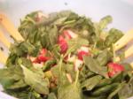 American Spinach and Fruit Salsa Salad Appetizer