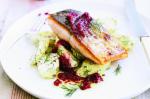 Australian Ocean Trout With Dill Potatoes And Beetroot Pesto Recipe Dinner