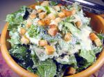 American The Great Caesar Salad Appetizer