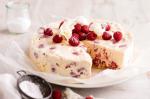 British Lowfat Berry And Meringue Icecream Cake Recipe Dessert