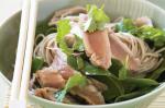 British Tuna and Ginger Noodle Salad Recipe Dinner