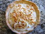 Australian Vegan Coconut Cream Pie Filling Dessert